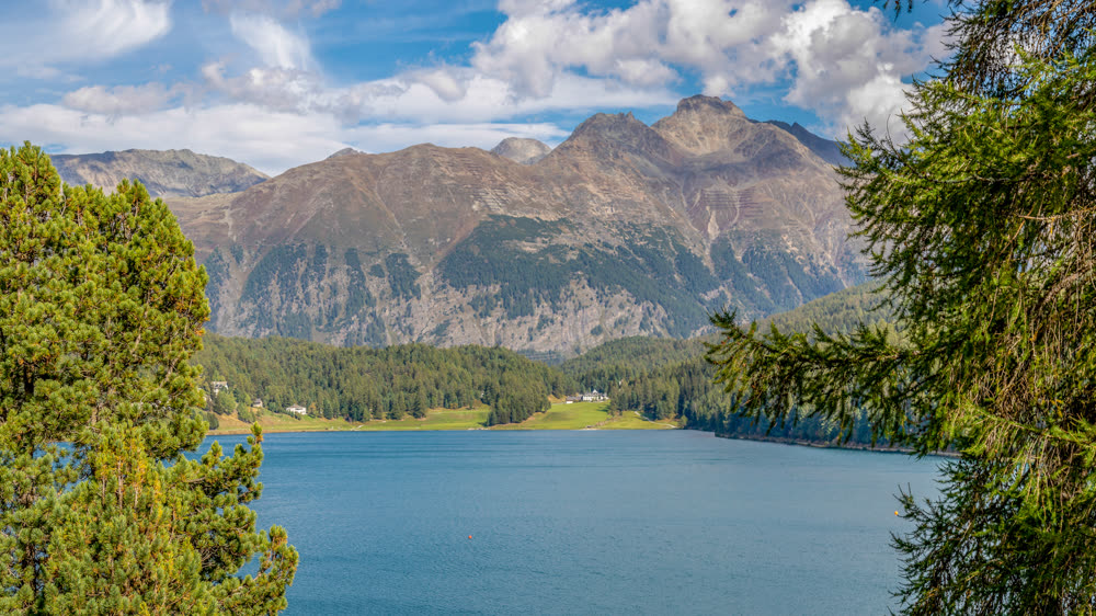 Der St. Moritzersee